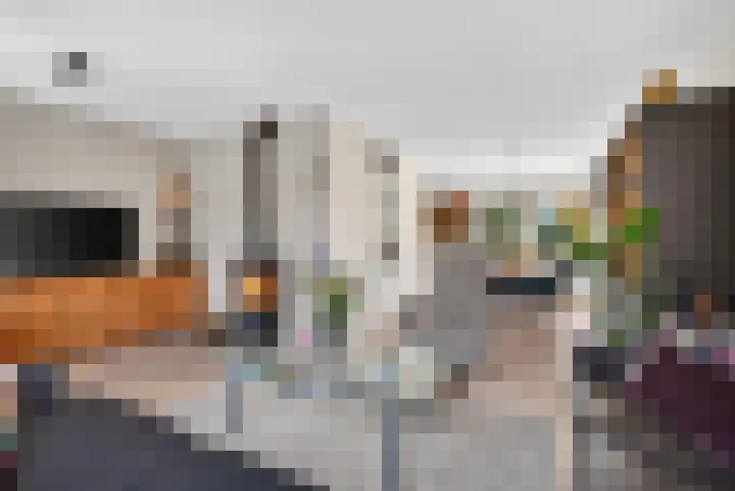 Borgsche Rieten 95 Terborg thumbnail 6