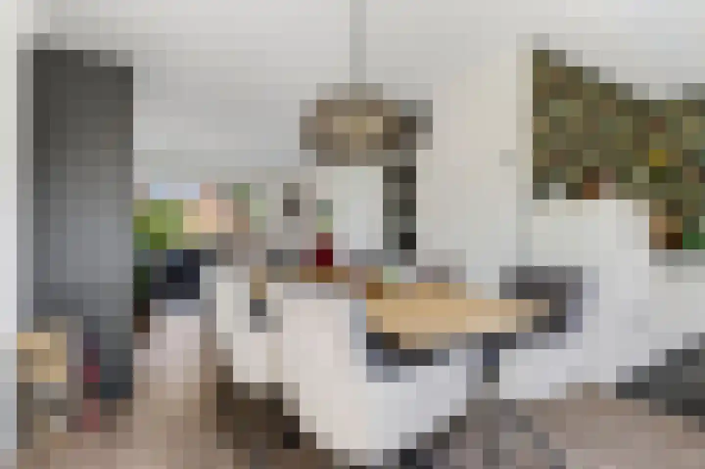 Borgsche Rieten 95 Terborg thumbnail 9