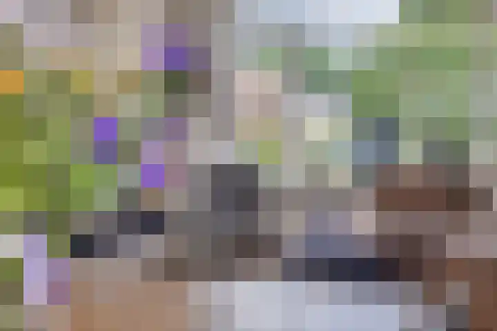 Borgstuk 30 Epe thumbnail 10