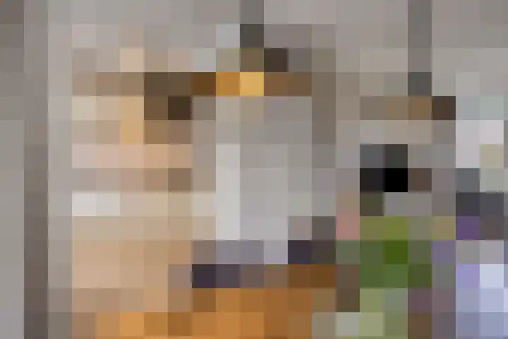 Borgstuk 30 Epe thumbnail 11