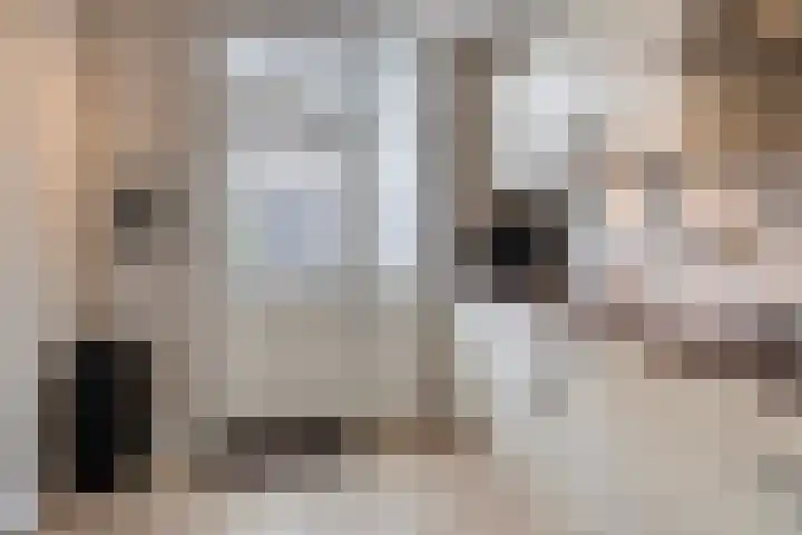 Borgstuk 30 Epe thumbnail 12