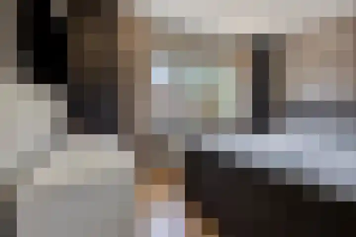 Borgstuk 30 Epe thumbnail 16