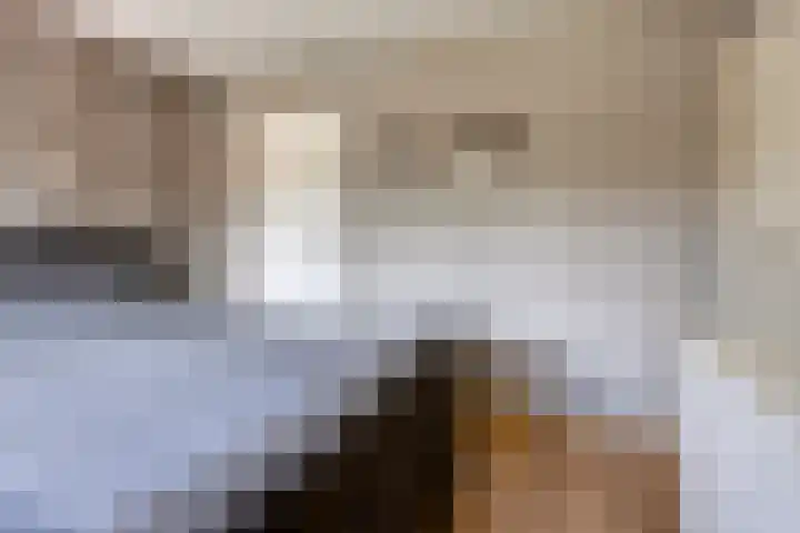 Borgstuk 30 Epe thumbnail 17