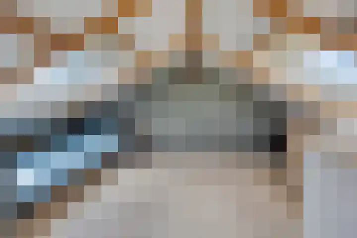 Borgstuk 30 Epe thumbnail 22