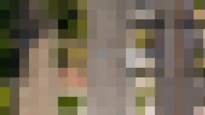 Borgstuk 30 Epe thumbnail 23