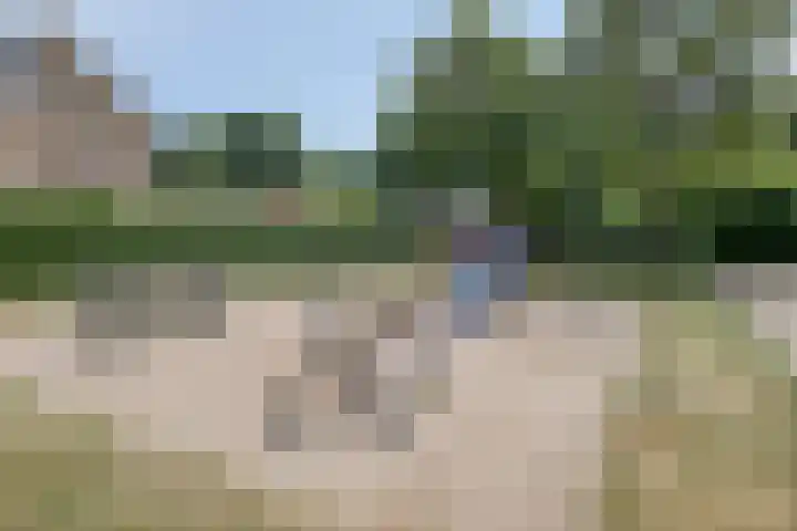 Borgstuk 30 Epe thumbnail 33
