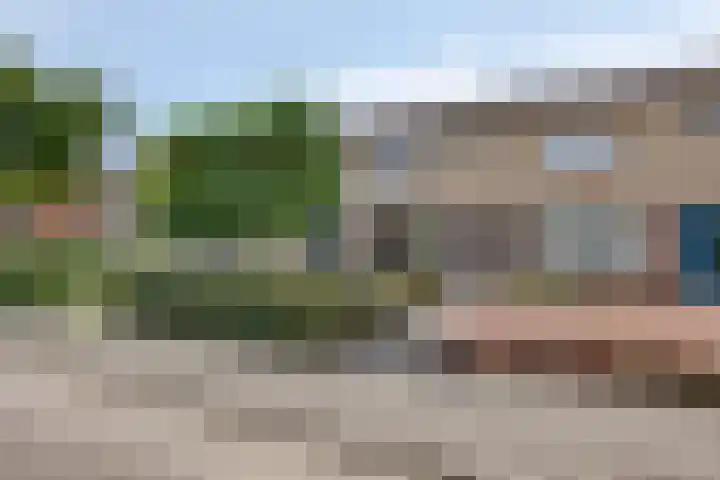 Borgstuk 30 Epe thumbnail 38