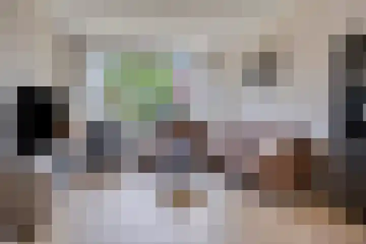 Borgstuk 30 Epe thumbnail 7