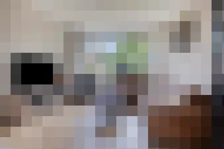 Borgstuk 30 Epe thumbnail 8