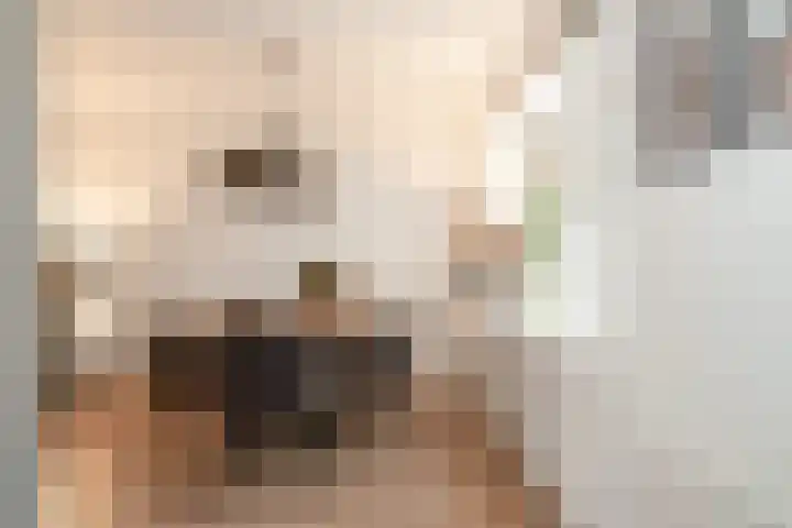 Borgstuk 44 Epe thumbnail 10