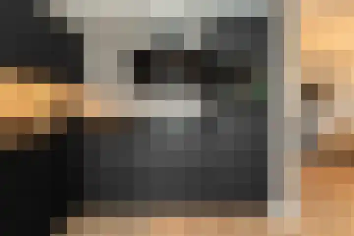 Borgstuk 44 Epe thumbnail 12