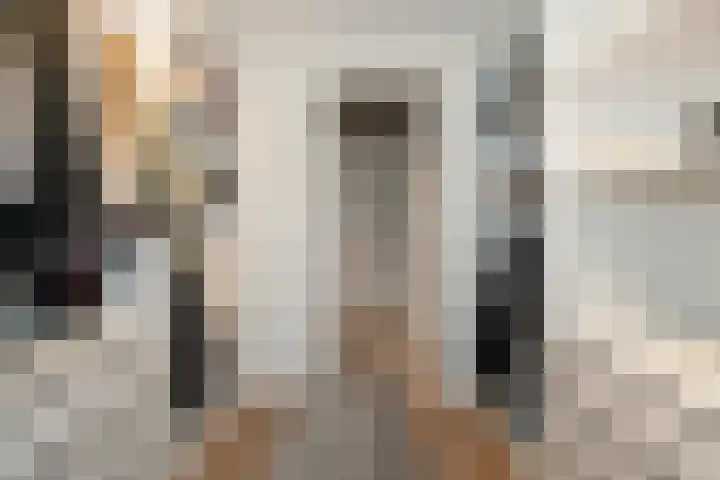 Borgstuk 44 Epe thumbnail 15