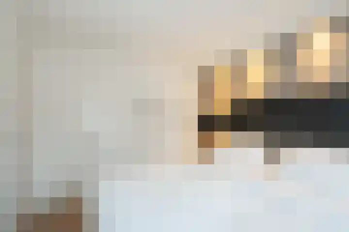 Borgstuk 44 Epe thumbnail 17