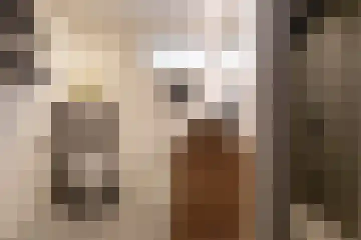 Borgstuk 44 Epe thumbnail 20