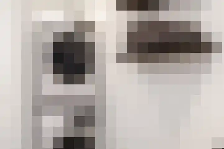 Borgstuk 44 Epe thumbnail 23