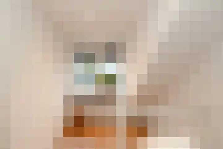 Borgstuk 44 Epe thumbnail 24