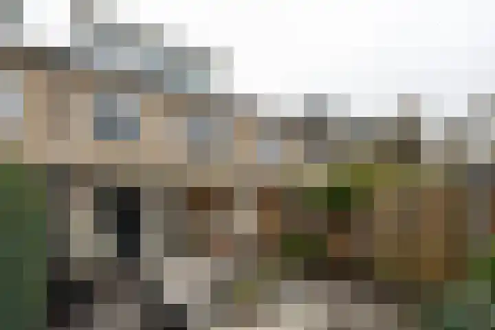Borgstuk 44 Epe thumbnail 28