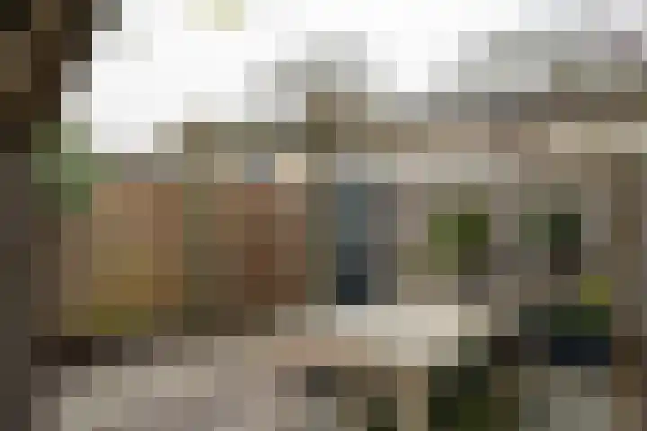 Borgstuk 44 Epe thumbnail 29