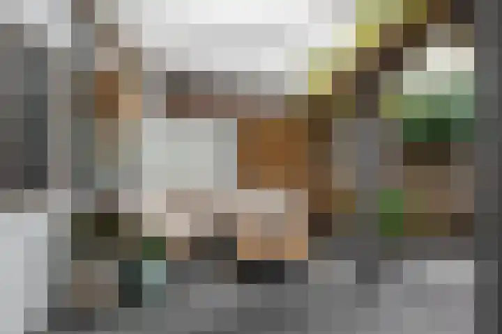 Borgstuk 44 Epe thumbnail 31