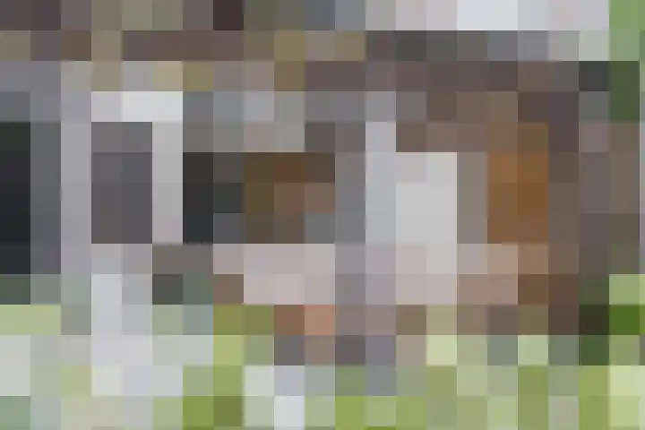 Borgstuk 44 Epe thumbnail 33