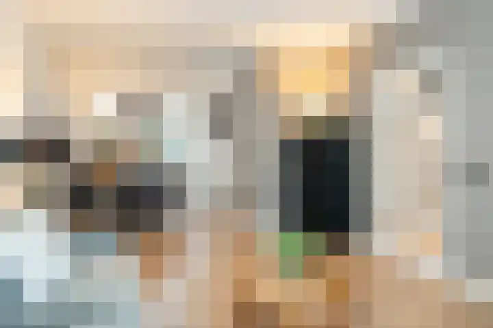 Borgstuk 44 Epe thumbnail 5