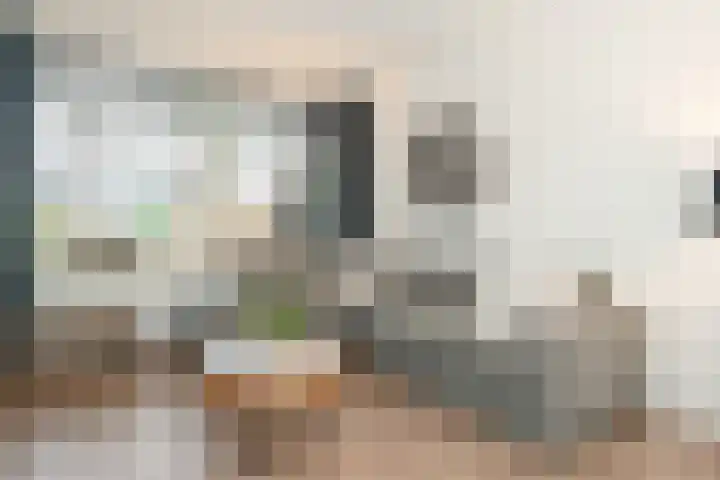 Borgstuk 44 Epe thumbnail 7