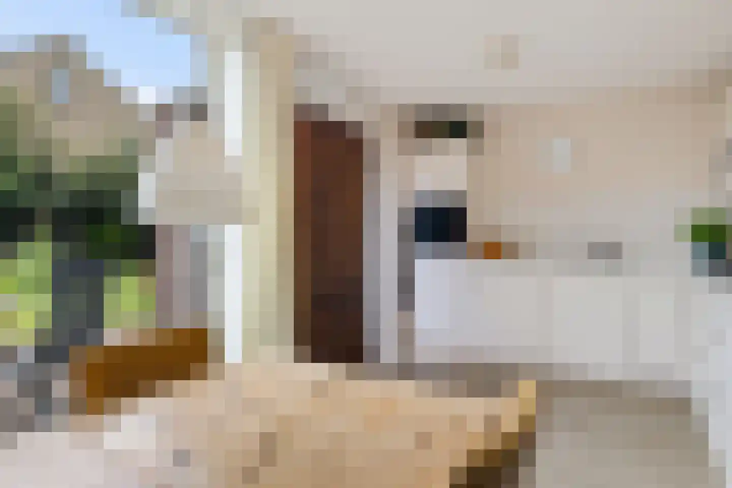 Borgstukken 27 Eelde thumbnail 15