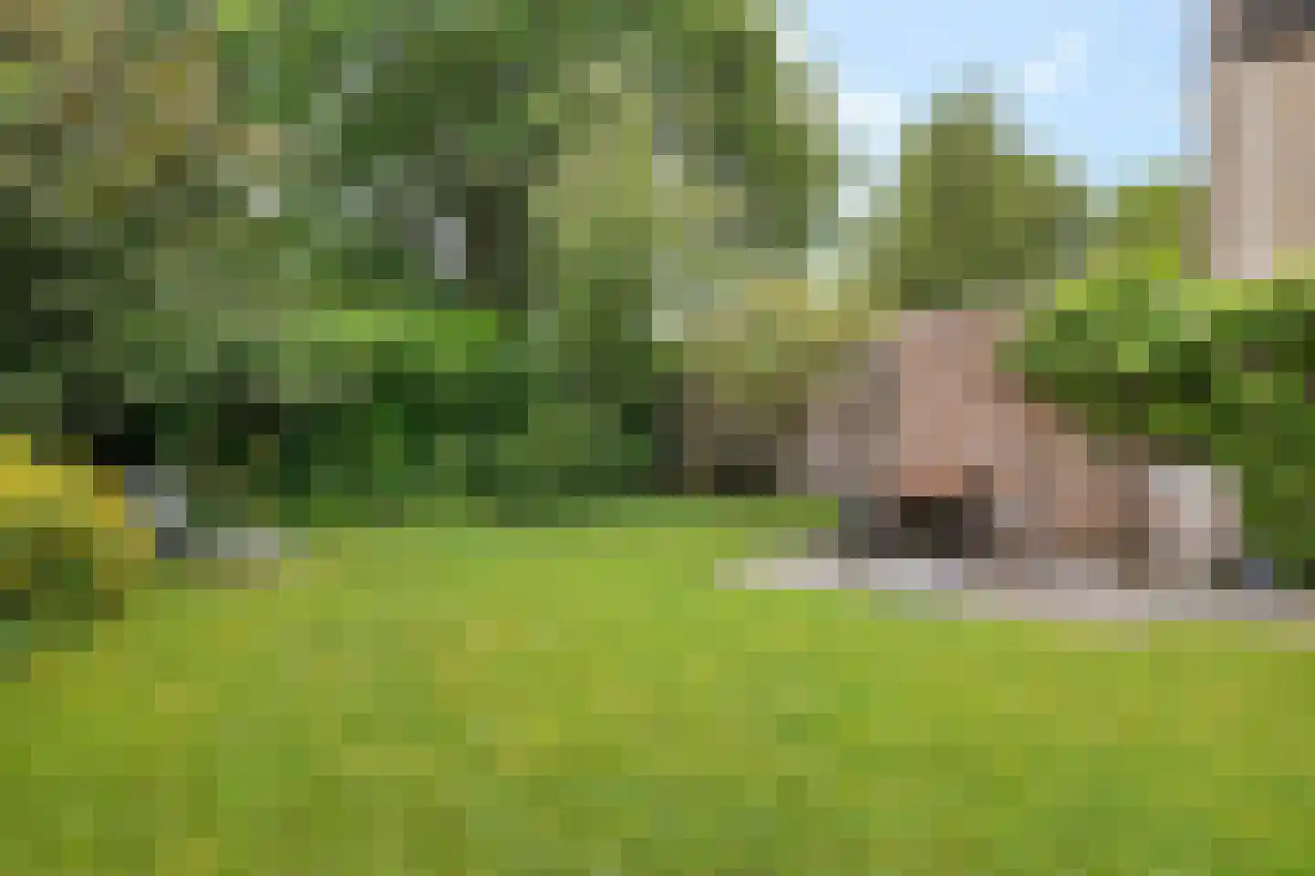 Borgstukken 27 Eelde thumbnail 32