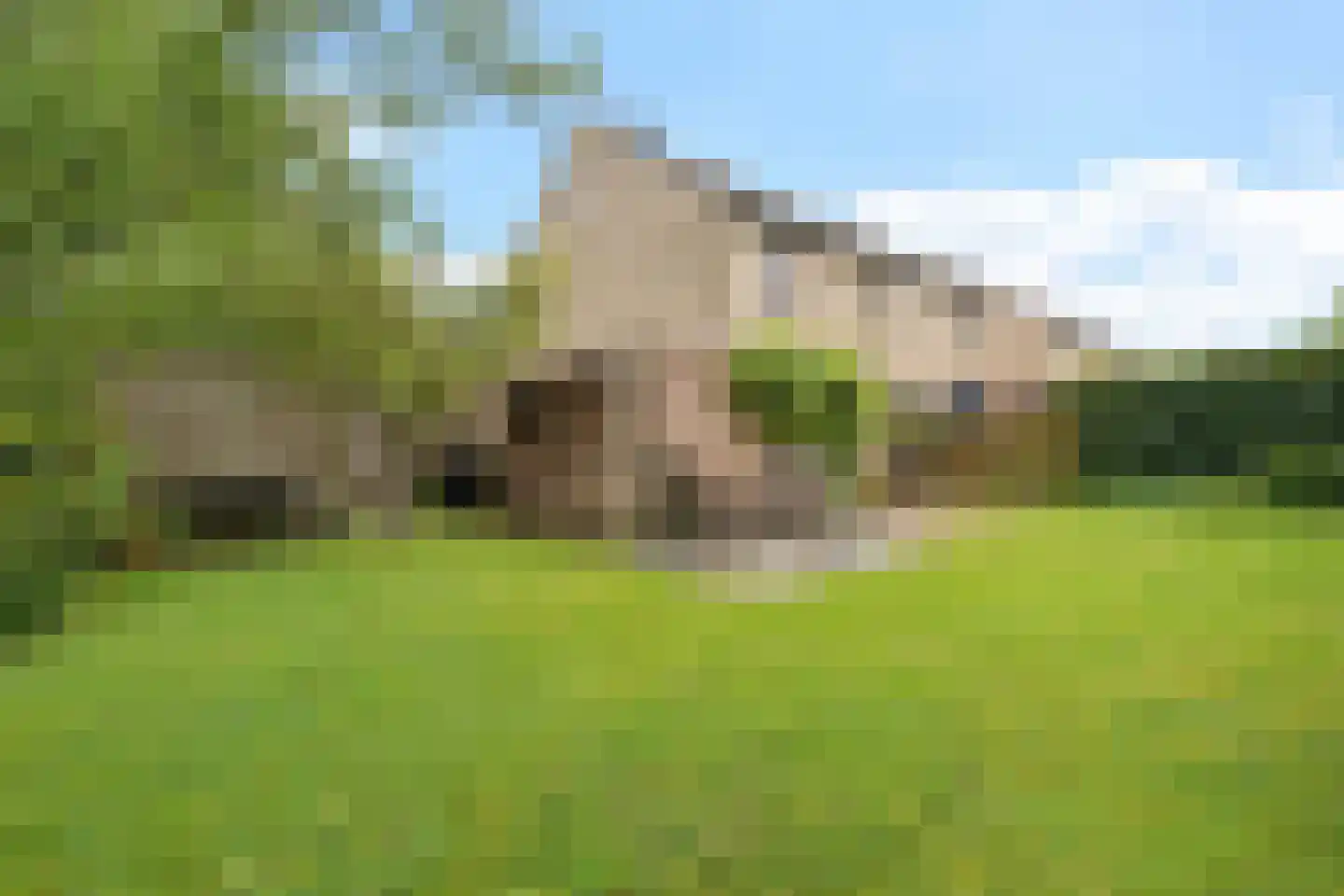 Borgstukken 27 Eelde thumbnail 34