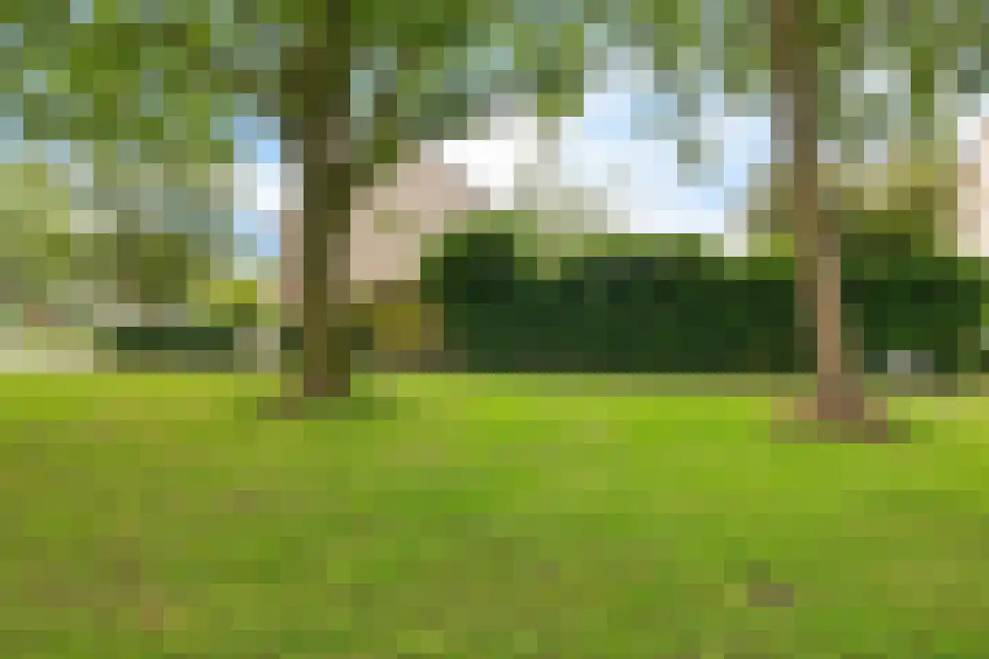 Borgstukken 27 Eelde thumbnail 4