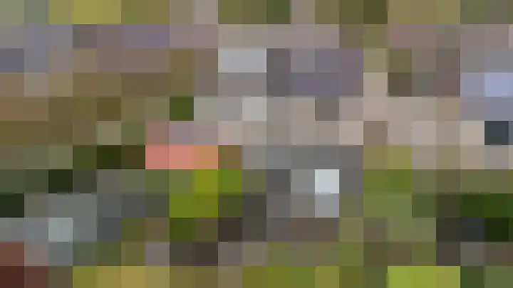 Borgstukken 9 Eelde foto 2