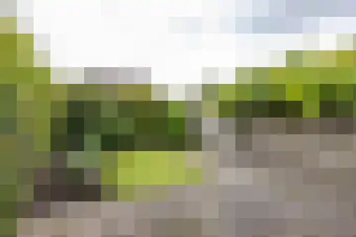 Borgstukken 9 Eelde thumbnail 21