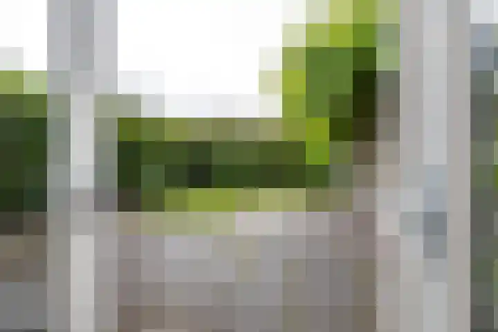 Borgstukken 9 Eelde foto 3