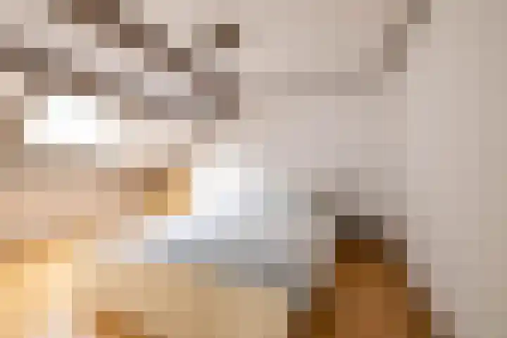 Borgstukken 9 Eelde thumbnail 31