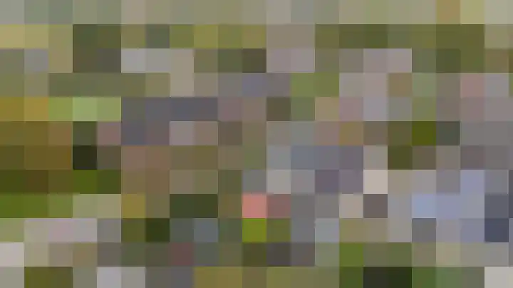Borgstukken 9 Eelde thumbnail 34