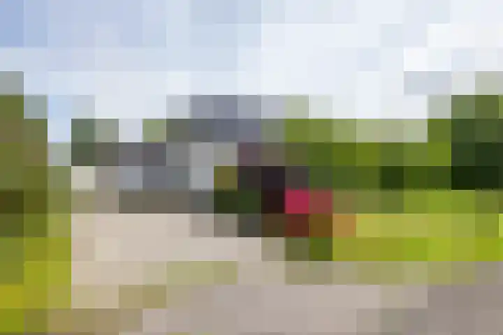 Borgsweer 11 Borgsweer thumbnail 11