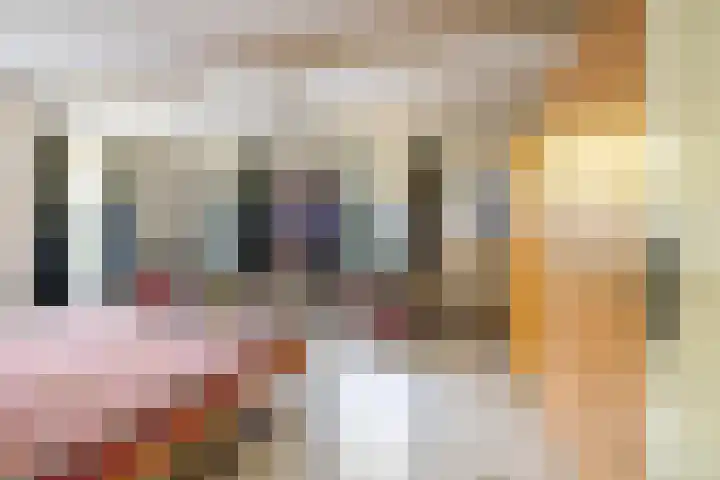 Borgsweer 11 Borgsweer thumbnail 18