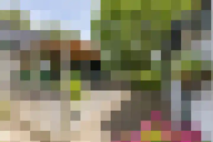 Borgsweer 11 Borgsweer thumbnail 42