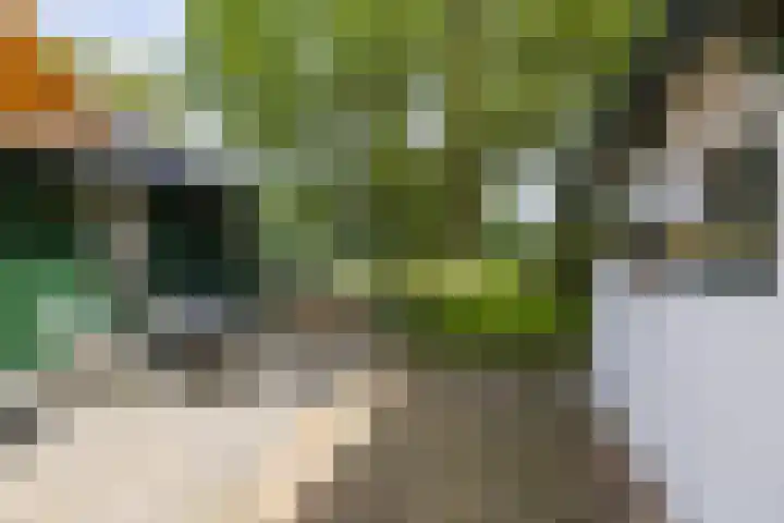 Borgsweer 11 Borgsweer thumbnail 43