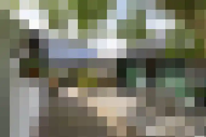 Borgsweer 11 Borgsweer thumbnail 46