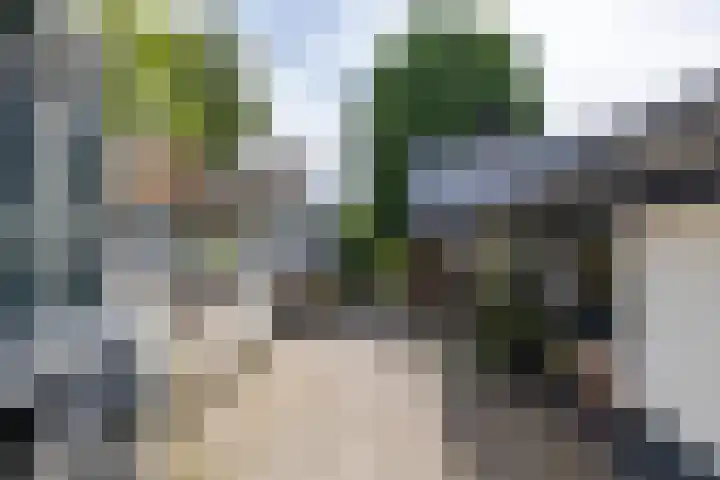 Borgsweer 11 Borgsweer thumbnail 49