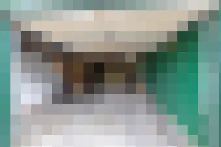 Borgsweer 11 Borgsweer thumbnail 51