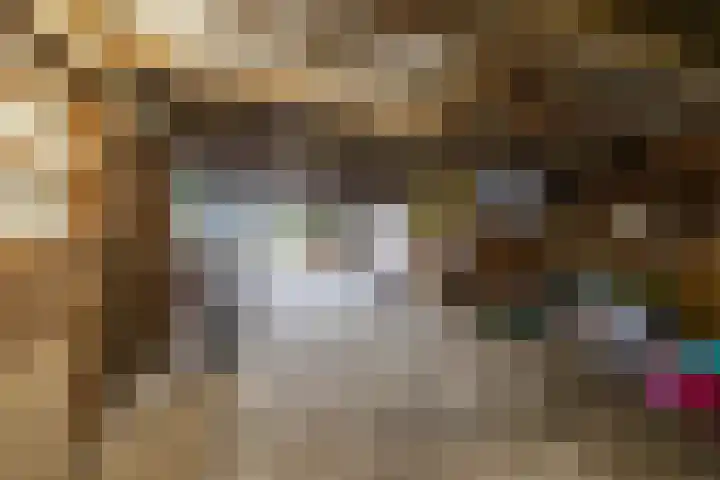 Borgsweer 11 Borgsweer thumbnail 54
