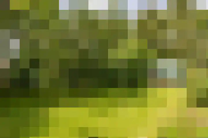 Borgsweer 11 Borgsweer thumbnail 57