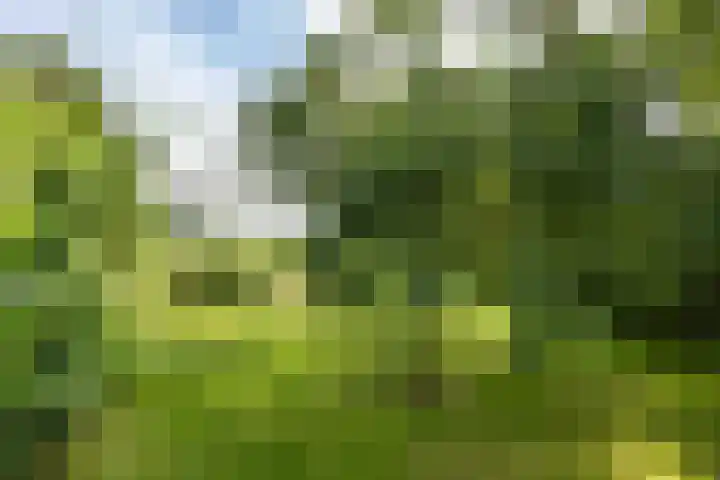 Borgsweer 11 Borgsweer thumbnail 59