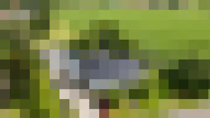 Borgsweer 11 Borgsweer thumbnail 6