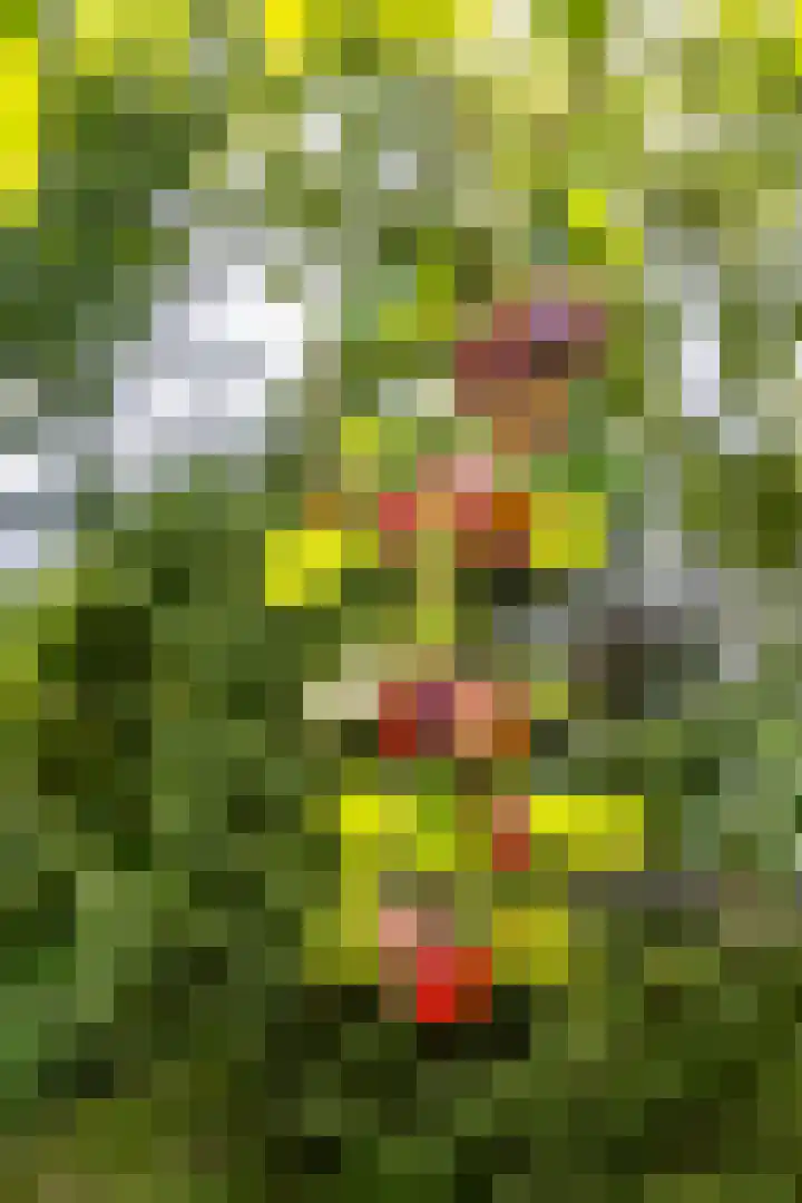 Borgsweer 11 Borgsweer thumbnail 60