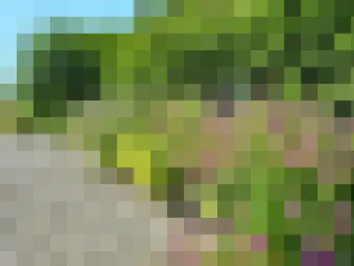 Borgsweer 11 Borgsweer thumbnail 62