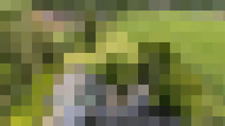 Borgsweer 11 Borgsweer thumbnail 63