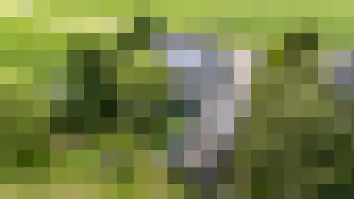 Borgsweer 11 Borgsweer thumbnail 64